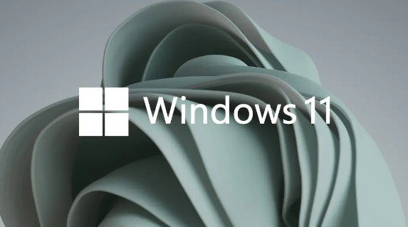 Windows11怎么加虚拟内存 加虚拟内存方法介绍