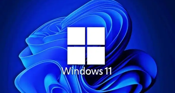 Windows11怎么清理磁盘 清理磁盘方法介绍