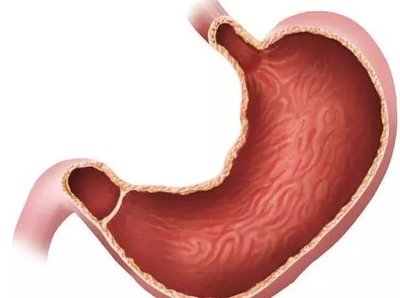 慢性胃炎吃什么养胃(这五条养胃原则对于慢性胃炎来说比药更重要)