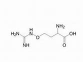 精氨酸瓜氨酸的作用与功效(精氨酸是什么，作用及副作用都有哪些)