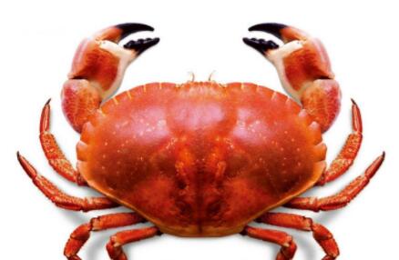 吃螃蟹不能同时吃的食物(和螃蟹相克的食物)
