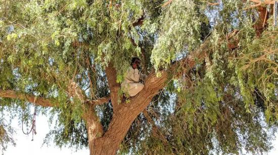 一位印度农村爬上树寻找信号的青年