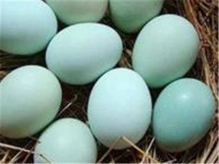 正宗乌鸡蛋多少钱一斤(乌鸡蛋的功效与作用)