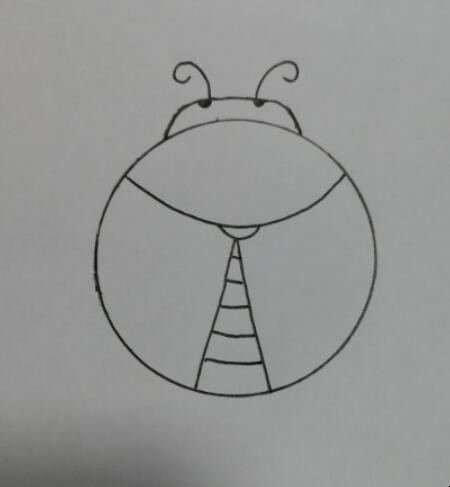 昆虫简笔画怎么画