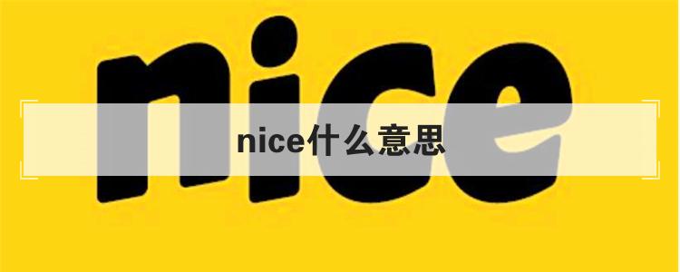 nice中文翻译(how nice中文翻译)