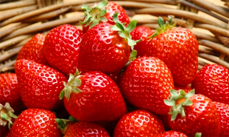 为什么大草莓多畸形
