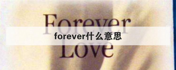 forever love什么意思中文翻译(forever什么意思英语)