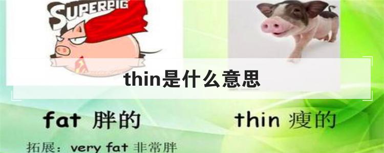 thin是什么意思英语翻译(thin是什么意思英语)