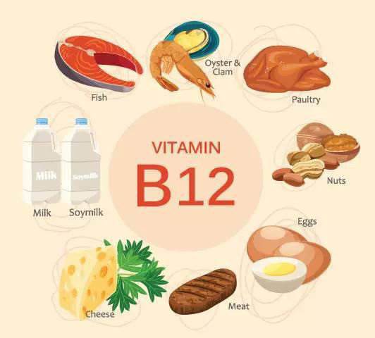 维生素b12的作用及功能主治