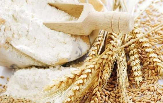 小麦淀粉和澄粉有什么区别