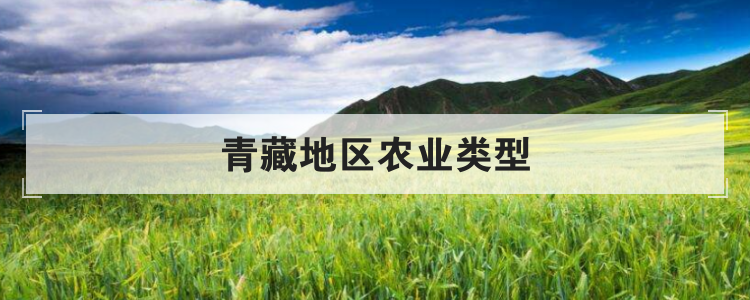 青藏地区农业类型