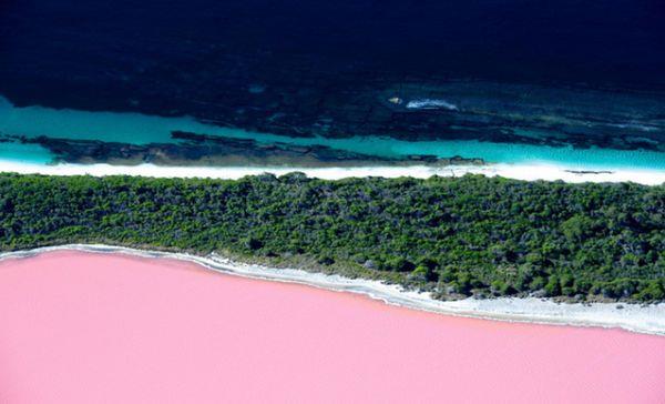 塞内加尔的玫瑰湖为什么是粉色的