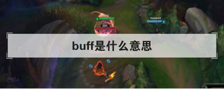 buffet是什么意思英语(buffalo是什么意思)