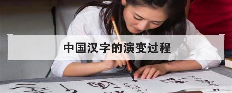 中国汉字的演变过程及特点(中国汉字的演变过程及图片)