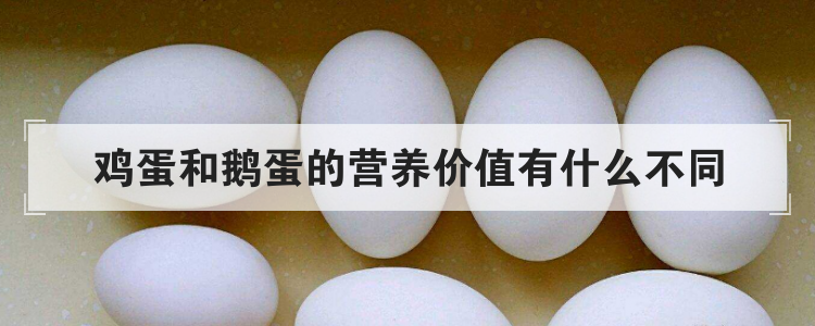 鹅蛋和鸡蛋营养价值一样吗(鹅蛋与鸡蛋的营养价值是哪个高一点)