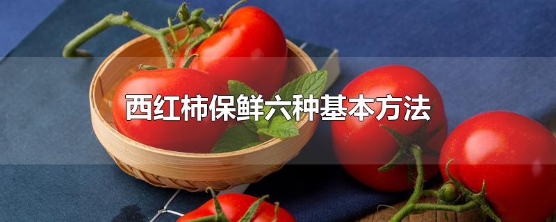 西红柿保鲜的方法(西红柿保鲜六种基本方法)